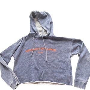 University of Illinois Blue Hoodie